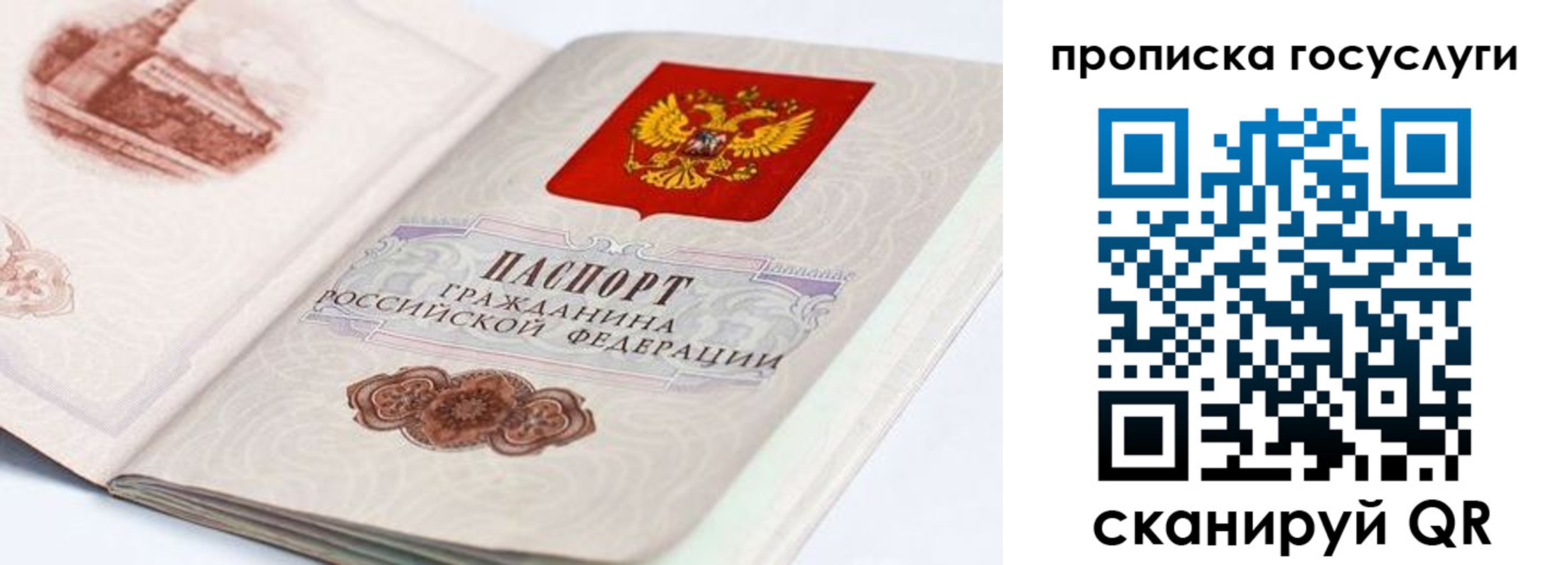 прописка гарантия в Ипатово